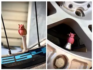 Owl Valve Stem Cap for Cars and Bikes!