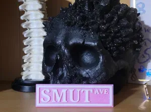 Bookshelf Sign - SMUT - AVE/ST (Multi. Options)