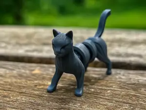 Gelenk-Katze mit geschmeidigem Gang