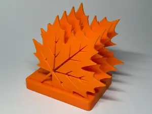Maple Leaf Coaster Set