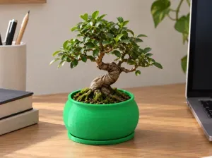 Bonsai Pot – Green Mini Planter 8 cm NO SUPPORT