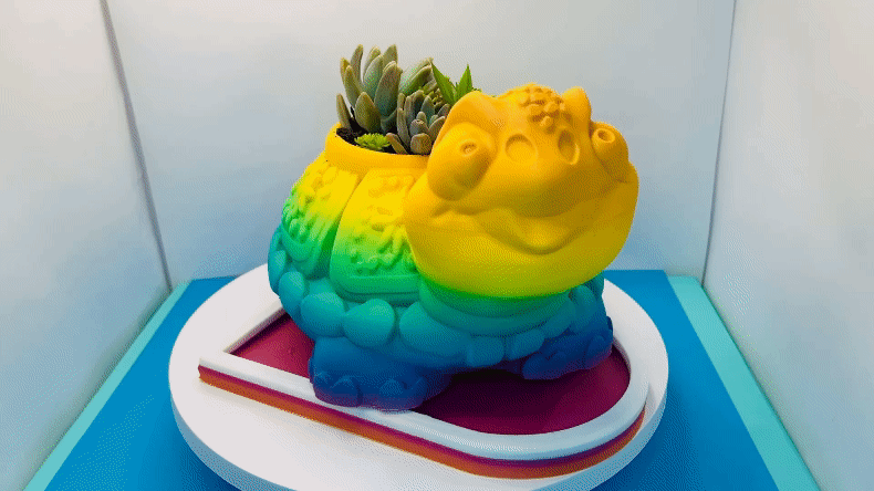 Turtle Planter with Heart Shaped Drip Tray