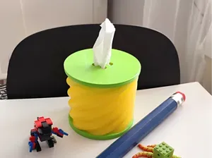 Tissue Box for Toilet Paper
