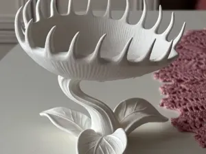 Venus Flytrap Bowl - Carnivorous Plant Catchall
