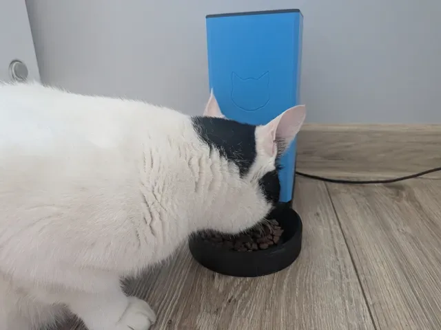 Smart Automatic Pet Feeder — Фото 6 из 8
