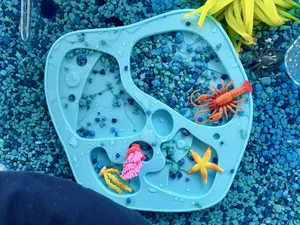 Tidepool Ocean Sensory Play Tray