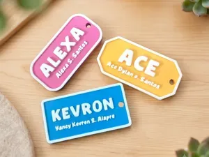 Customizable Bag Tag Whistle Keychain