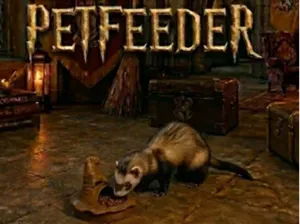 Sorting Pet Feeder