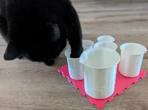 Curious Paws - Beakers puzzle
