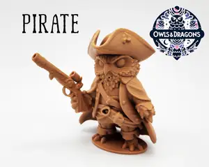 The Pirate - Owls & Dragons