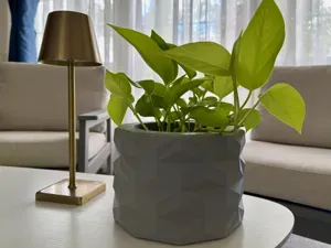Self Watering Pot