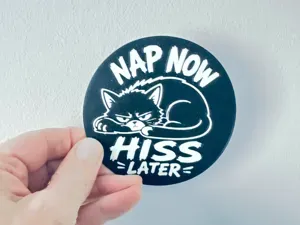 Nap Now, Hiss Later Funny Grumpy Cat Coaster