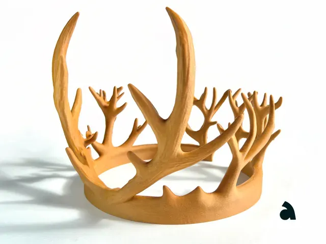 Wildroot Crown (King Edition) — Фото 2 из 2