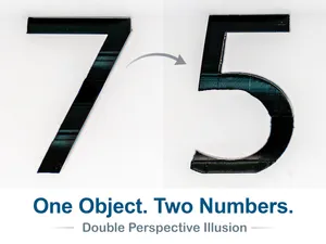 Number 75 Optical Illusion (10-99 available)