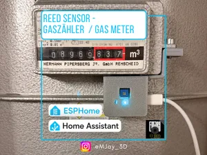 Gaszähler -REED - ESPHome -Wemos D1