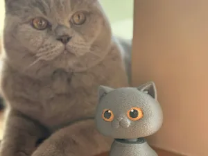 Bobblehead Cat Figure – Pen Spring Mechanism 