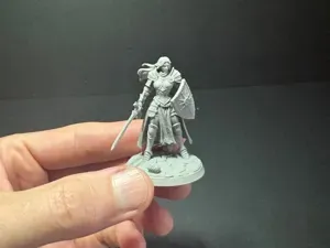 Female Paladin – Holy Knight with Sword/Shield