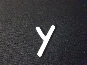 Y