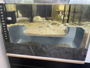 Tunnel pour Aquarium / Terrarium