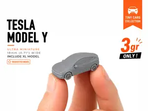 Tiny Tesla Model Y - Mini Cars Series