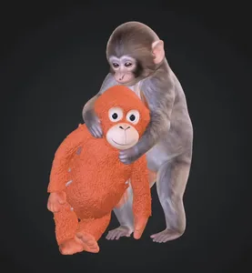 Punch the Monkey Hugging His Plushie Viral Macaque