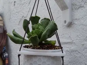Hanging Planter Set