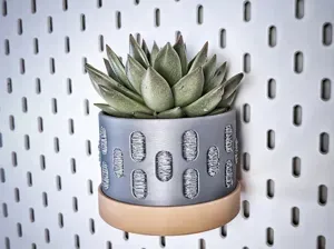 Modern Skadis Mounted Planter with Drip Tray