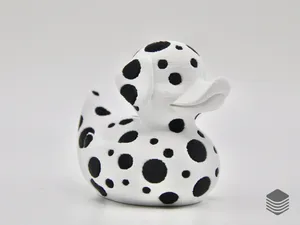 Dalmatian Duck