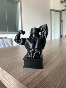 Darth Vader- Arnold Schwarzenegger fusion