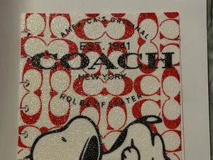 Coach Snoopy 8 disc notebook/planner cover