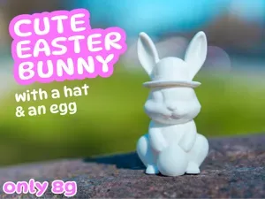 Cute Easter Bunny with a hat & an egg (No Support)