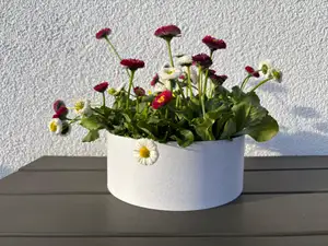 Einfache und schlichte Blumenschale