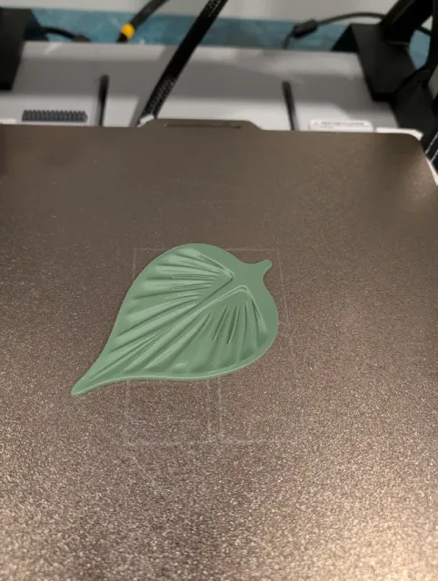 Ginko Leaf — Фото 3 из 6