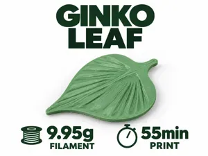 Ginko Leaf