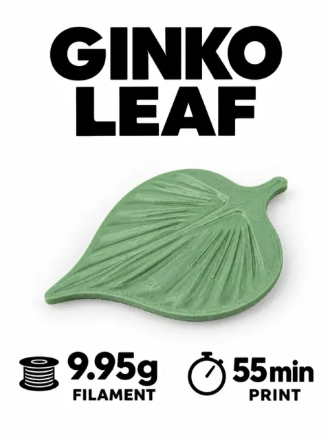Ginko Leaf — Фото 2 из 6