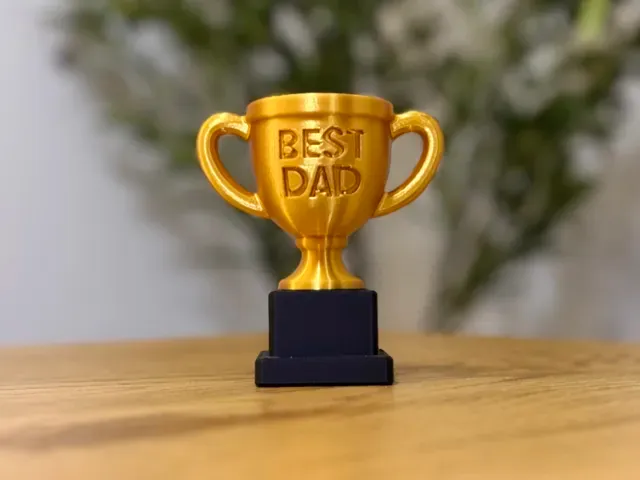 Best Dad Trophy – Birthday Day Gift -NO AMS NEEDED — Фото 3 из 7