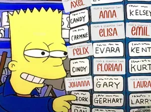 The Simpsons - BORT license plate (and you name)
