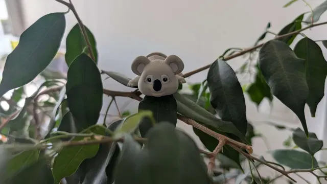 Koala Bear - Articulated Figure Keychain — Фото 5 из 7