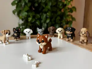 Shiba-Inu puppy