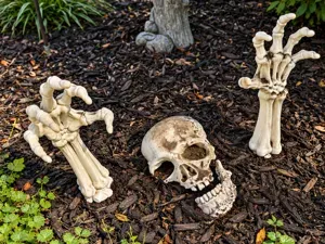 Buried Skull & Jaw – Halloween Decoration