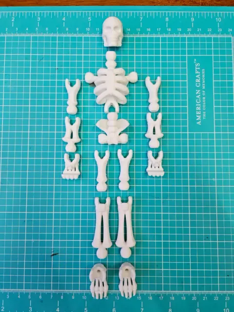 fully articulated skeleton — Image 2 of 4