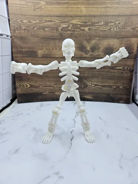 fully articulated skeleton — Image 3 of 4