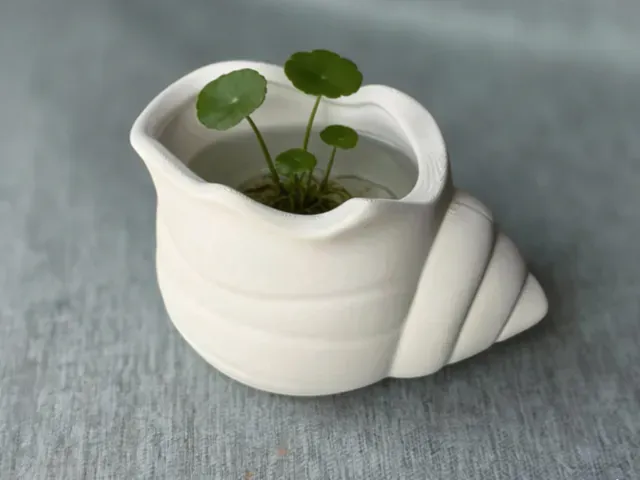 海螺绿植花盆 桌面造景摆件 — Image 4 of 6