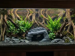 Natural Aquarium Terrarium Flat Rock Cave Hideout