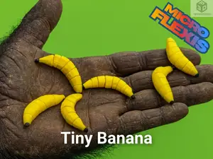 Tiny Banana