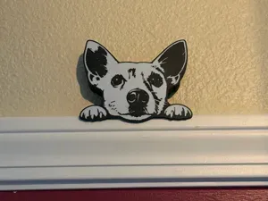 Pointed Ear Jack Russell Terrier