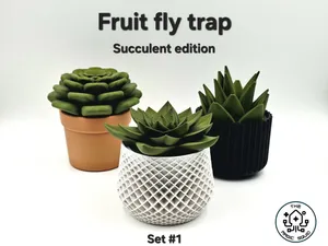 Succulent Fruit Fly Trap - Set #1