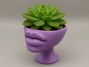 Lips Planter with Succulent – Sculptural Modern