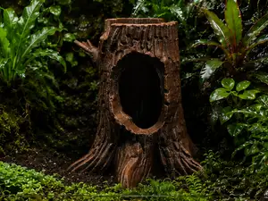 Forest Tree Stump Shelter – Terrarium & Aquarium