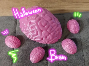 human brain